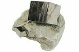 Natural Pyrite Cube In Rock From Spain #82082-1